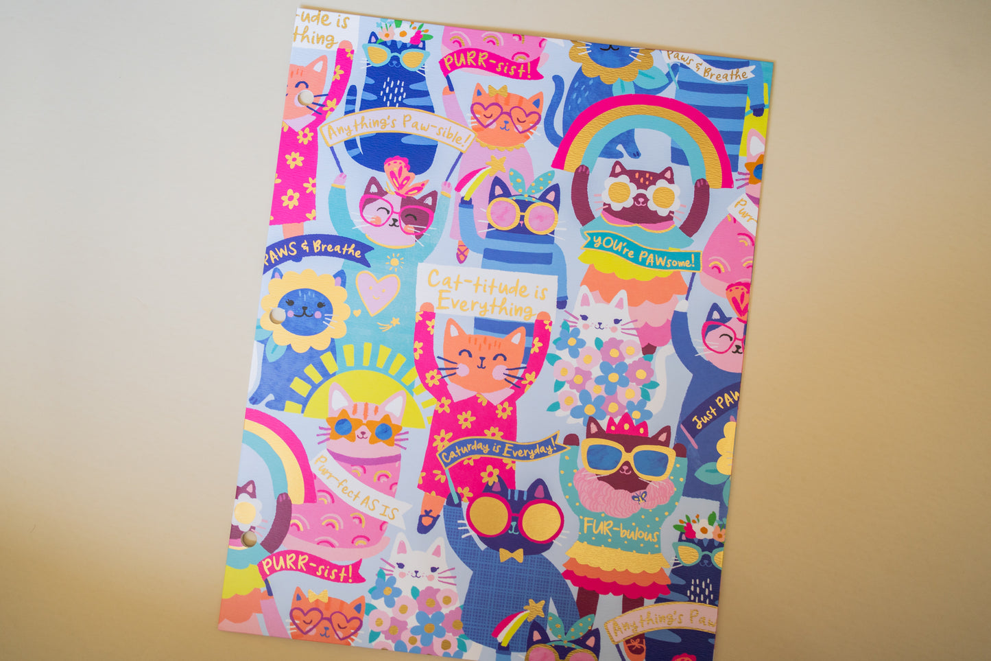 Folder "Gatitos"