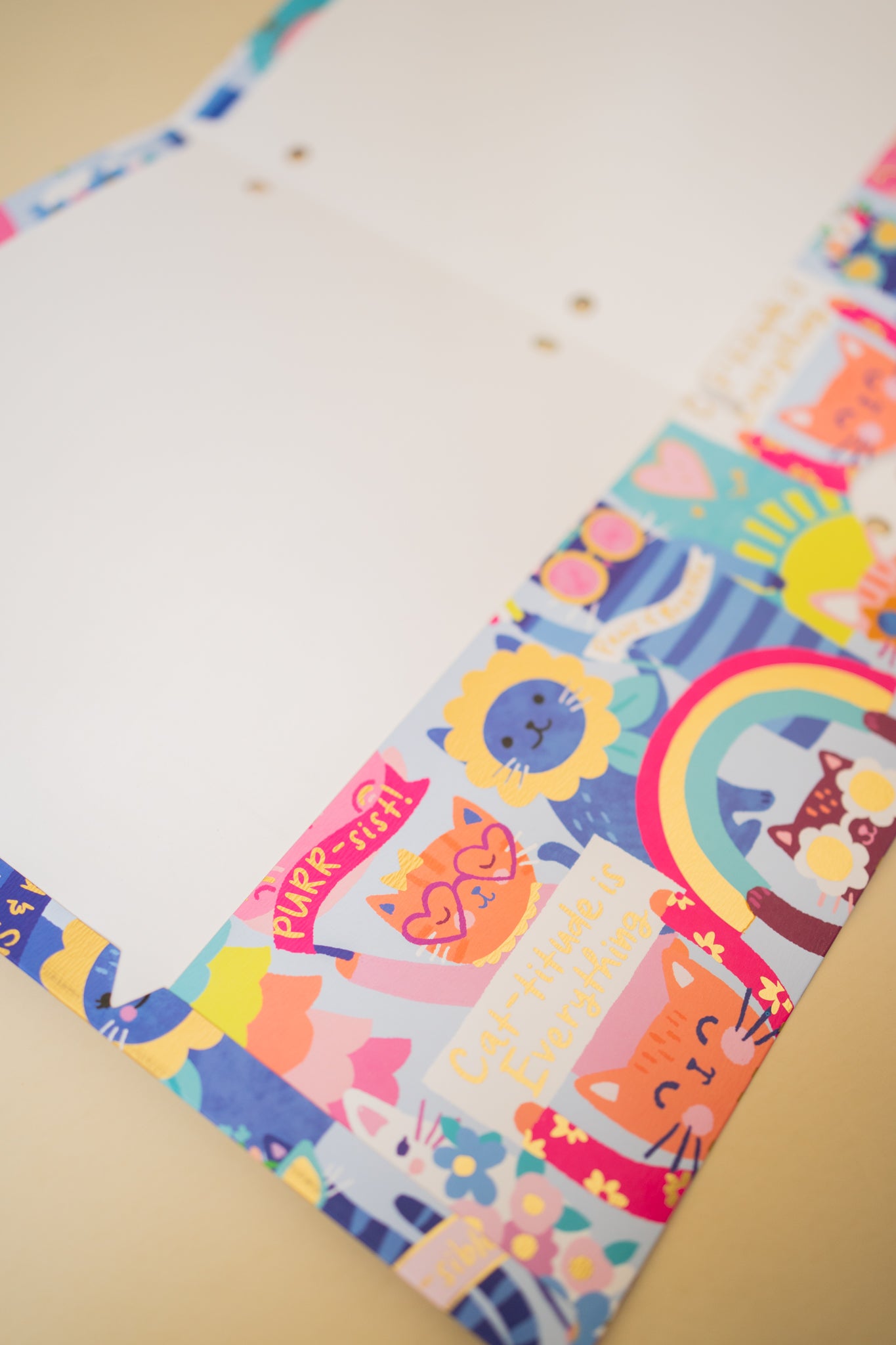 Folder "Gatitos"