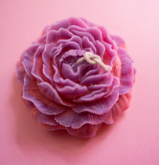 Vela: Rosa morada con rosado